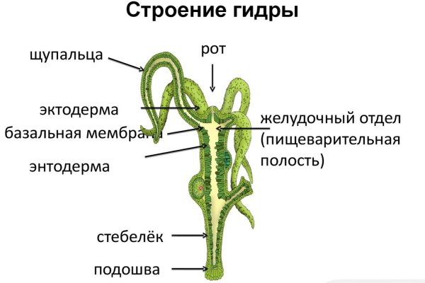 Кракен найти сайт