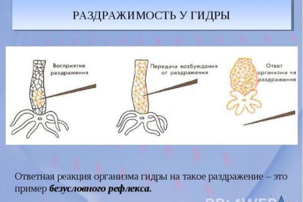 Кракен маркетплейс ссылка тг