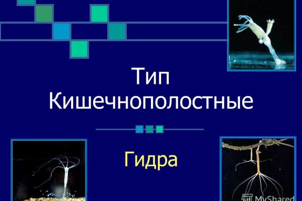 Kraken зеркало krakentor site