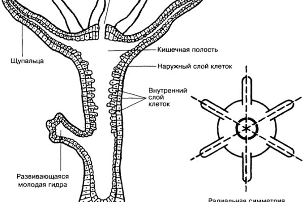 Кракен онлайн