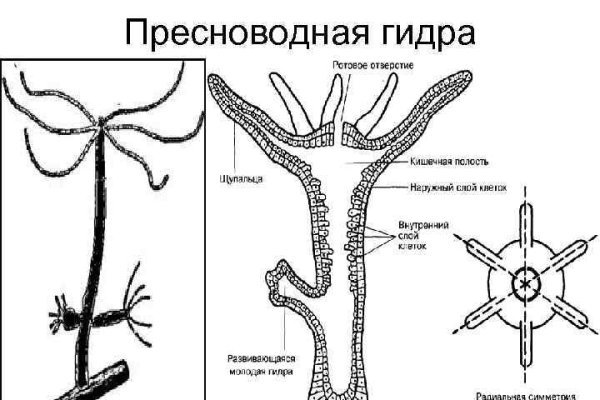 Кракен сайт kr2web in официальный ссылка