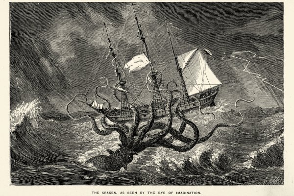 Kraken что это за магазин