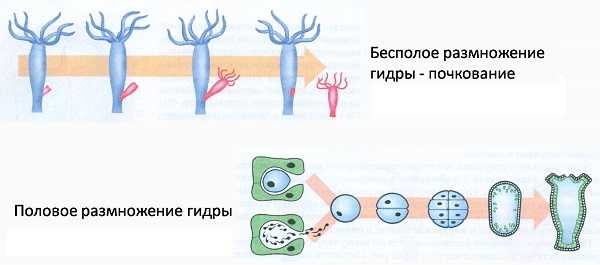 Как зайти на площадку кракен