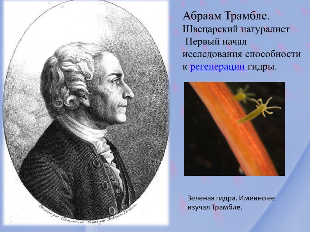 Каталог сайтов даркнет